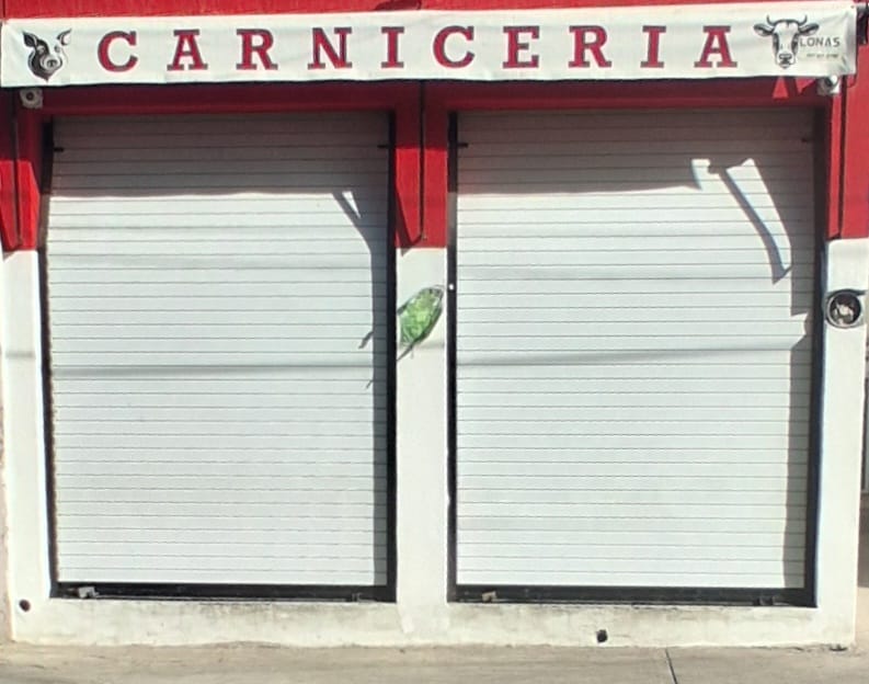 Cortinas metálicas de impulso instalada en Ciudad Guzmán